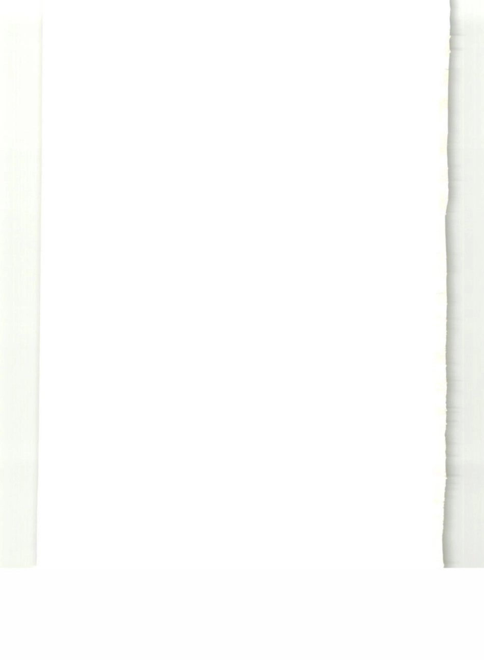 DL_5190_5_2019_电力建设施工技术规范_第5部分_管道及系统.pdf_第2页
