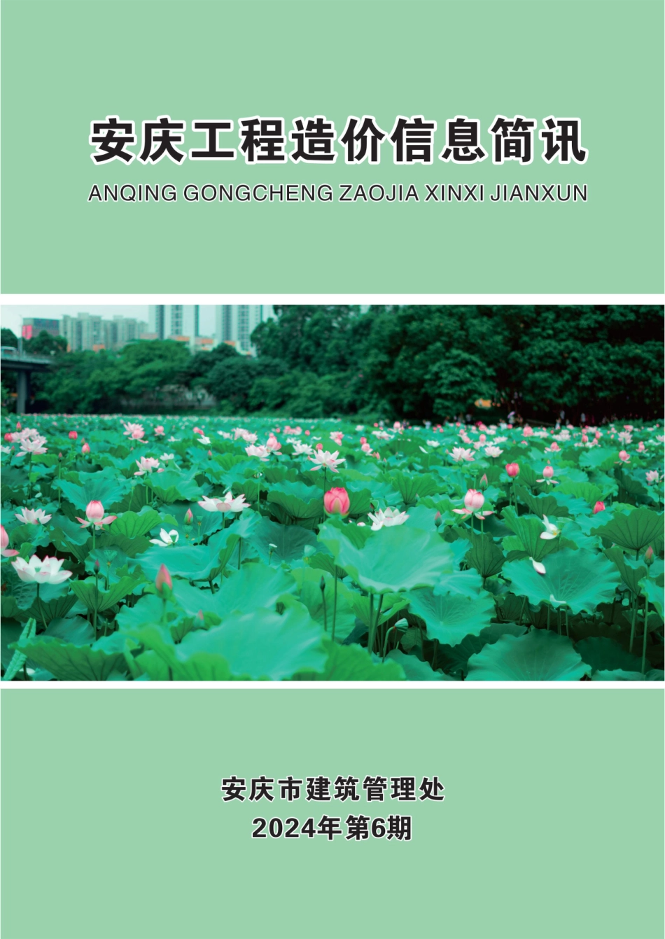 2024年第6期安庆市建设材料价格信息.pdf_第1页
