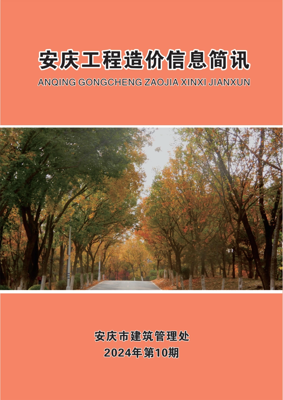 2024年第十期安庆市建设材料价格信息.pdf_第1页