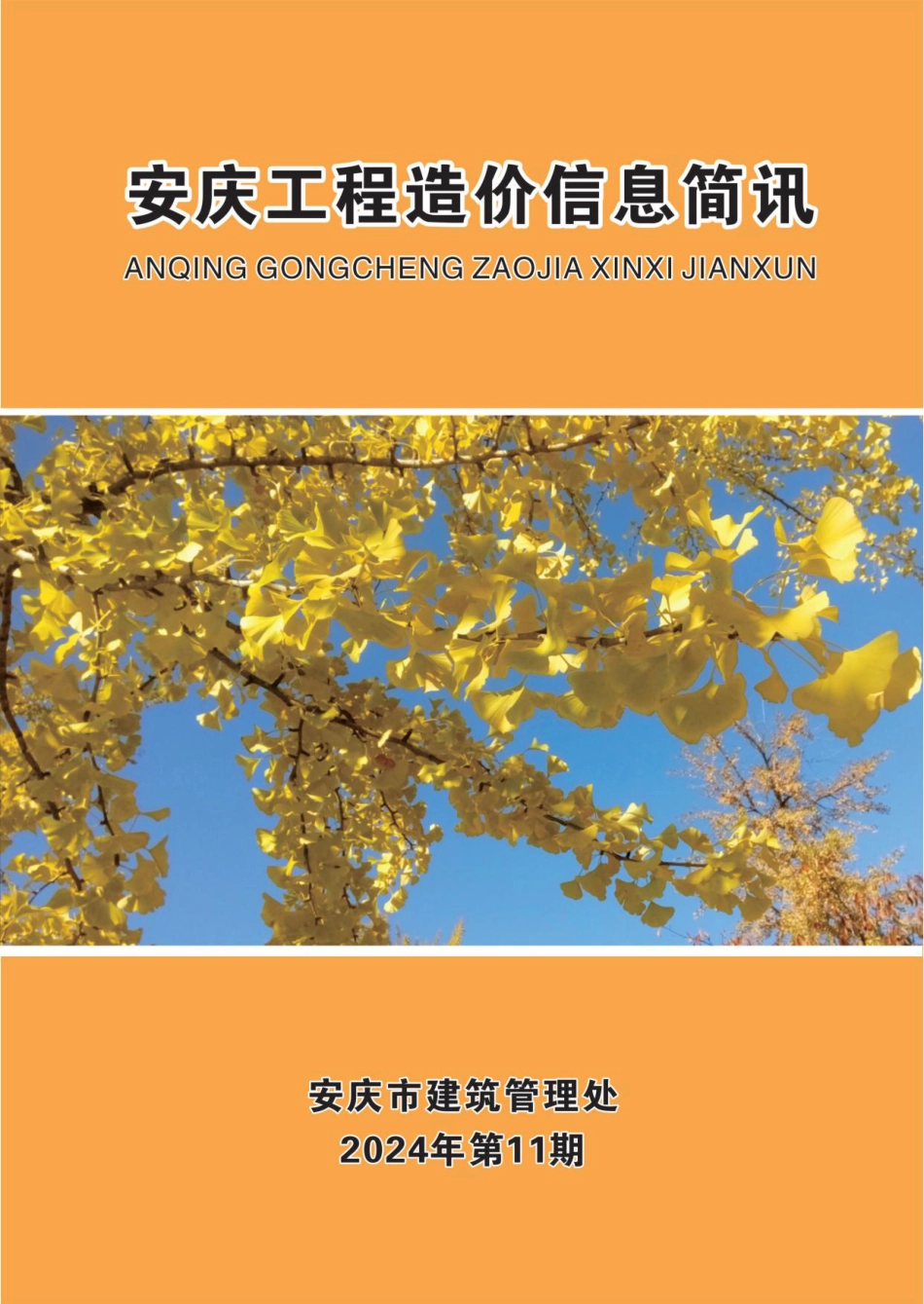 2024年第十一期（11月）安庆市建设材料价格信息.pdf_第1页