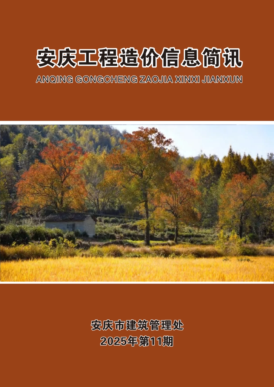 2025年第十一期安庆市建设材料价格信息-11月信息价.pdf_第1页